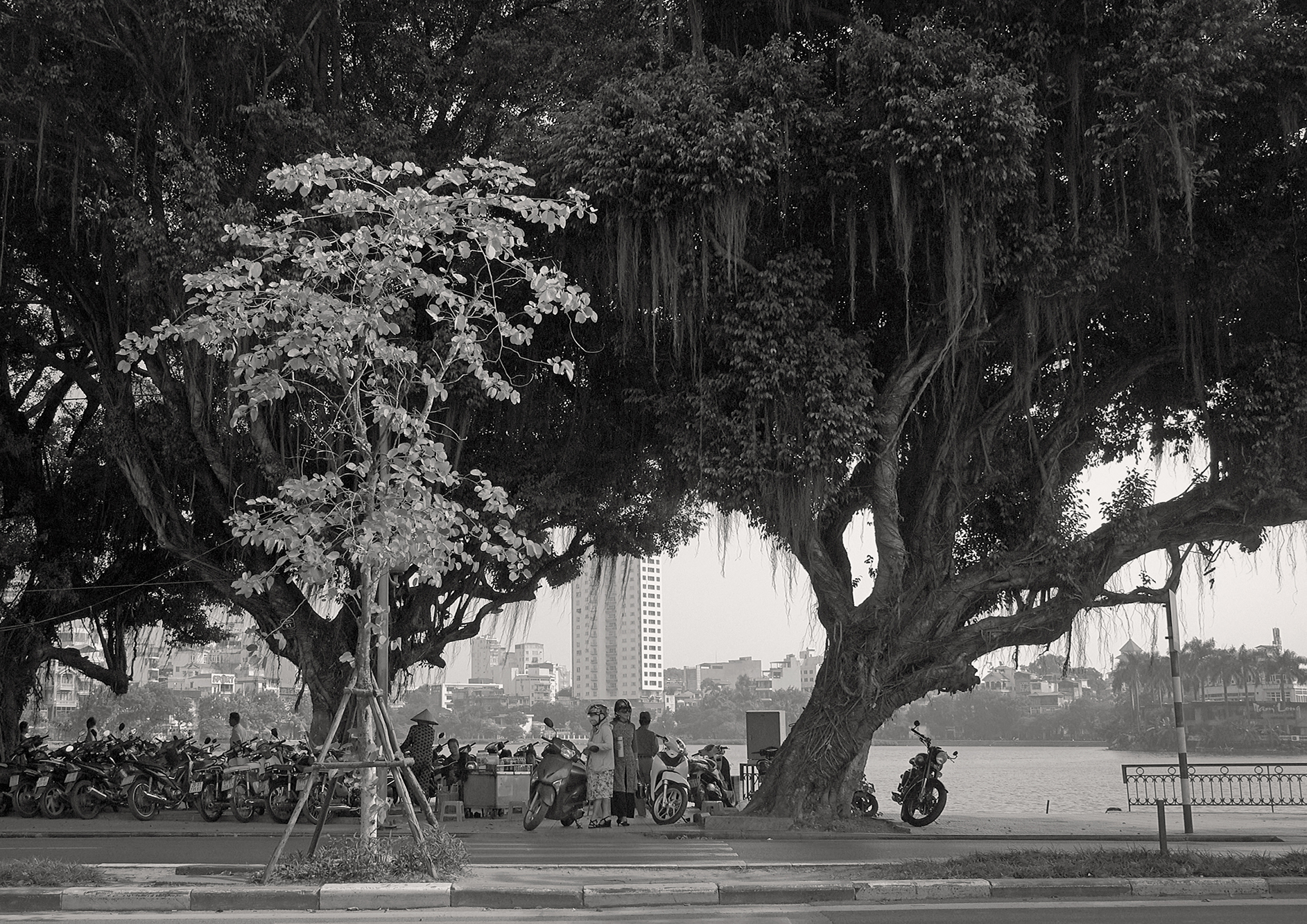 Christoph Radke, Vietnam, Hanoi, am See Hồ Trúc Bạch, 2018